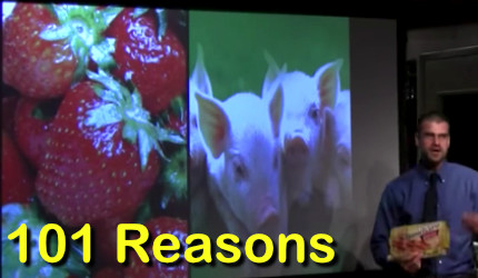 101 Reasons To Go Vegan