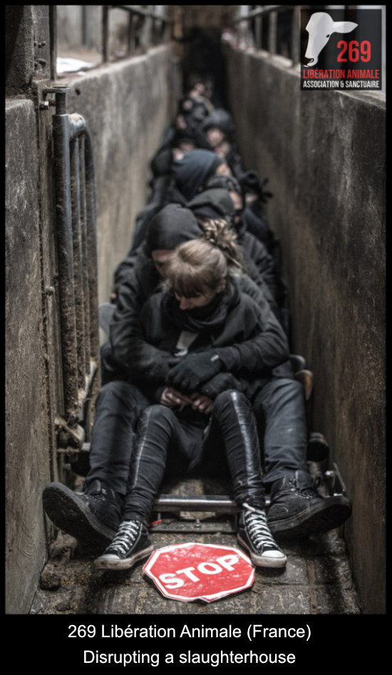 269 Life Liberation Animale France