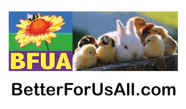 BFUA business card back