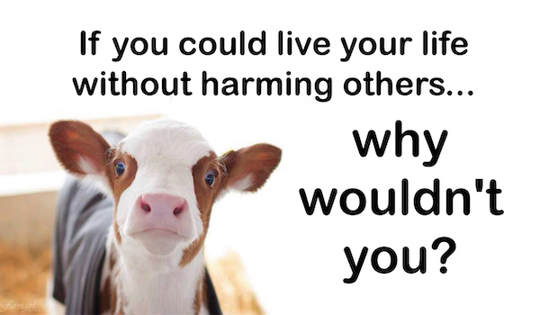 BFUA business card front