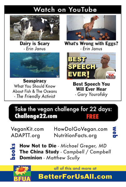 BFUA business card back