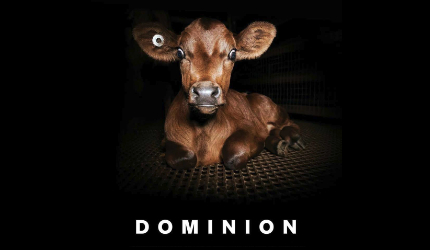 Dominion Movement Documentary