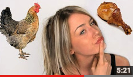 Food For Thought Chicken