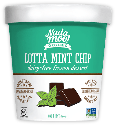 Mint Chip Vegan Ice Cream