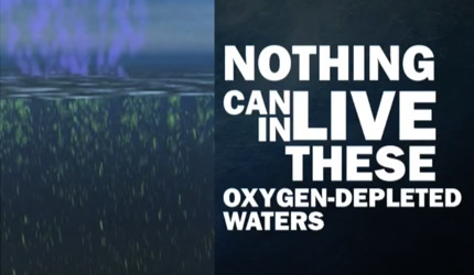 The Consequences of Overfishing