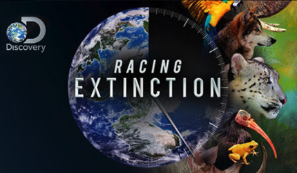 Racing Extinction
